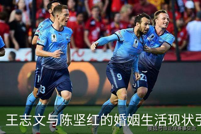 王志文与陈坚红的婚姻生活现状引发关注，年龄差带来的差异令人深思